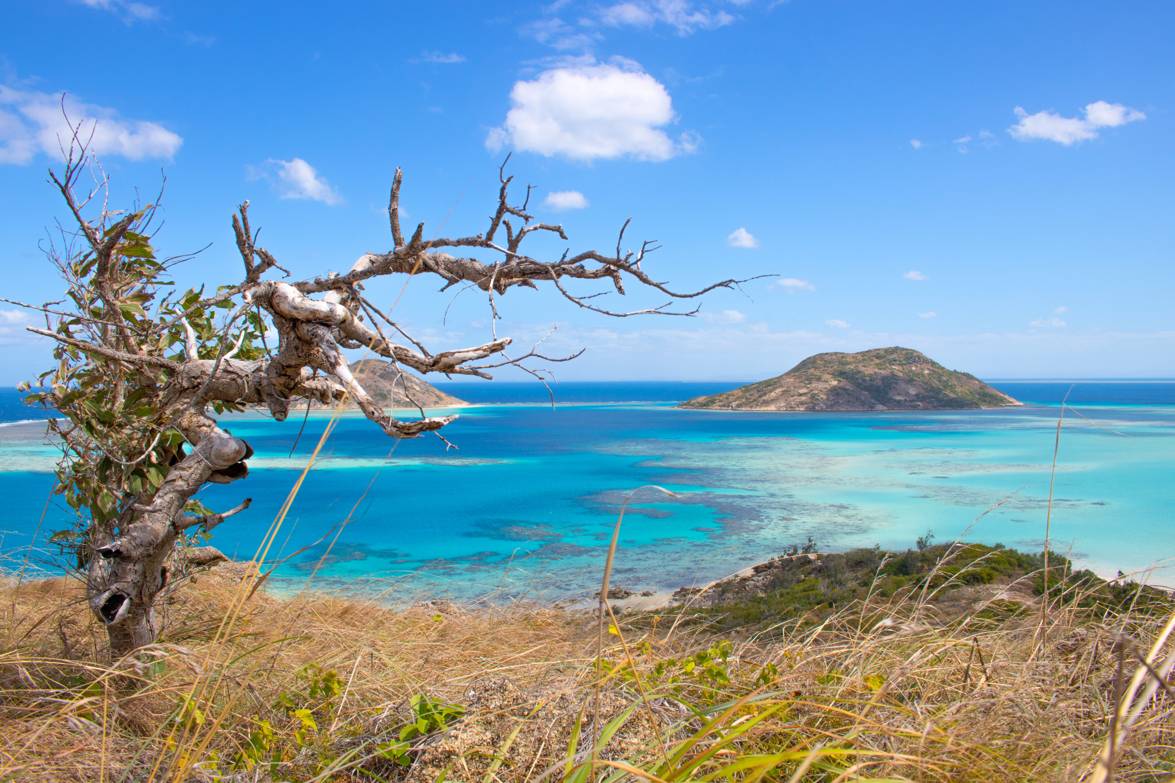 156 lizard island national park, queensland.webp